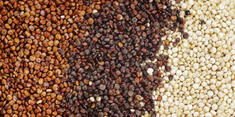 varieta-tipologie-quinoa