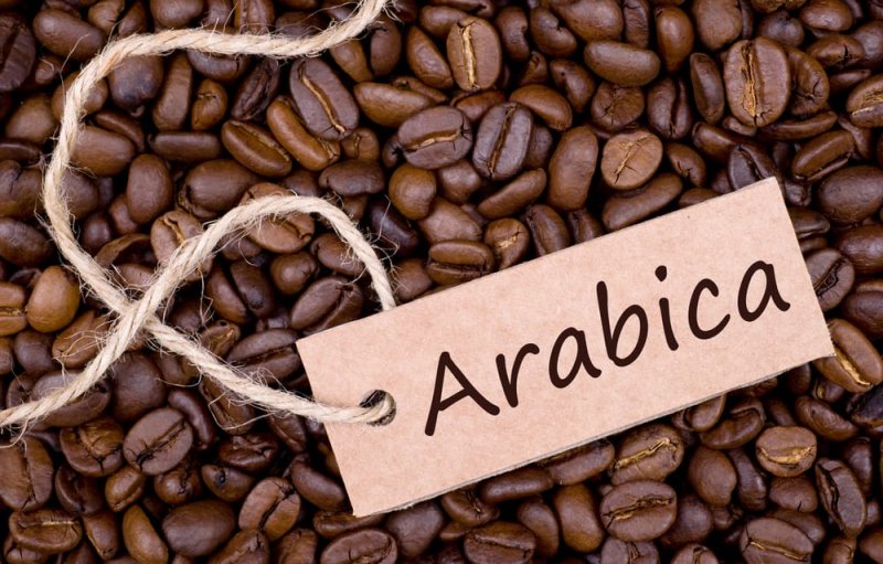 caffe-arabica-chicchi