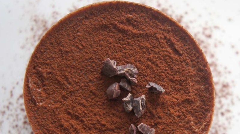 makeup-food-polvere-di-cacao-bronzer