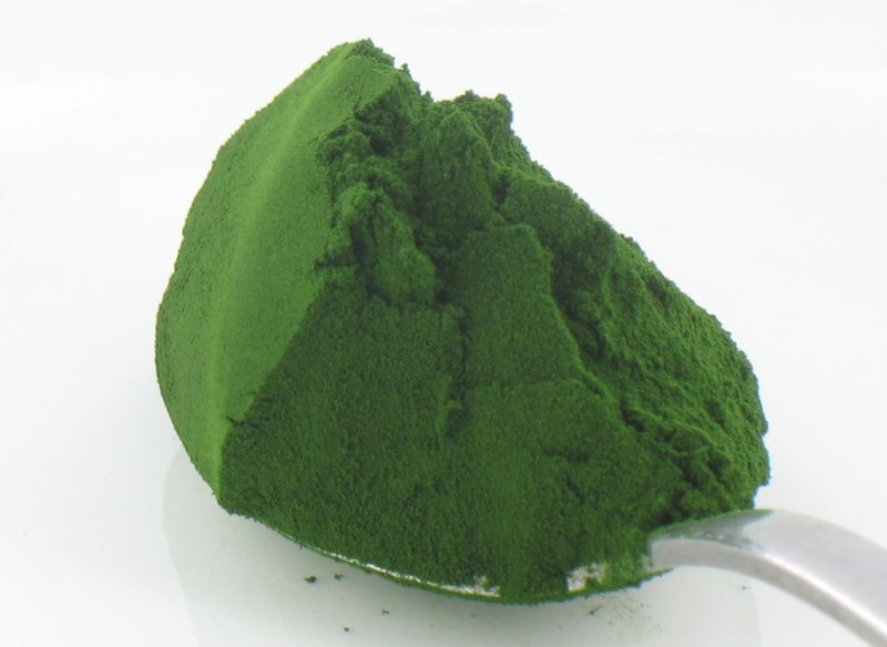 chlorella-polvere-verde