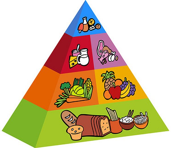 piramide-del-cibo