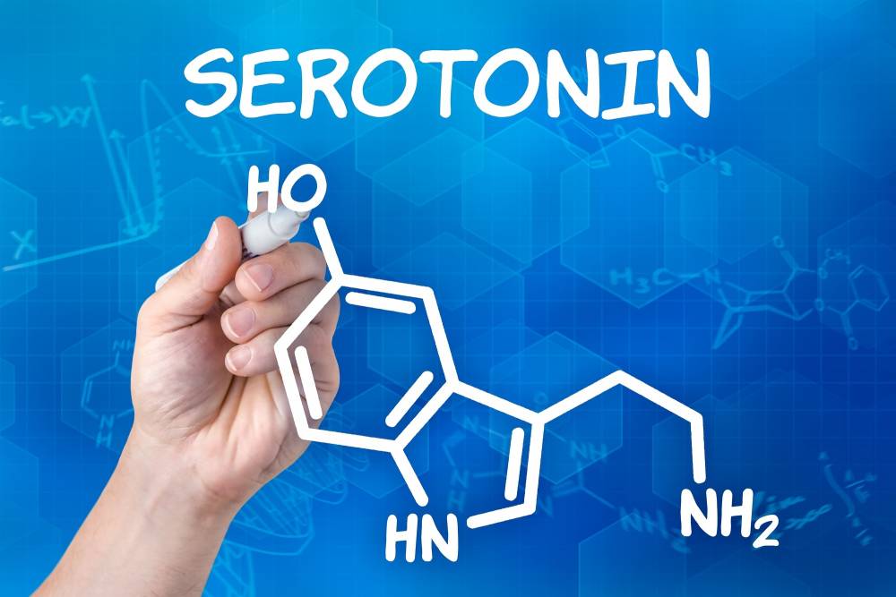 serotonina-ormone-della-felicita