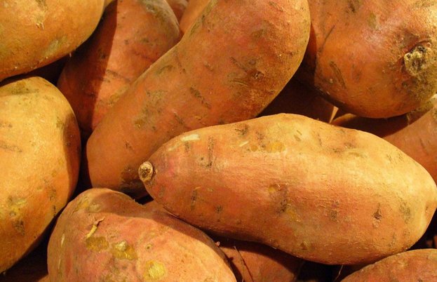 patata-dolce-superfood-dimagrante