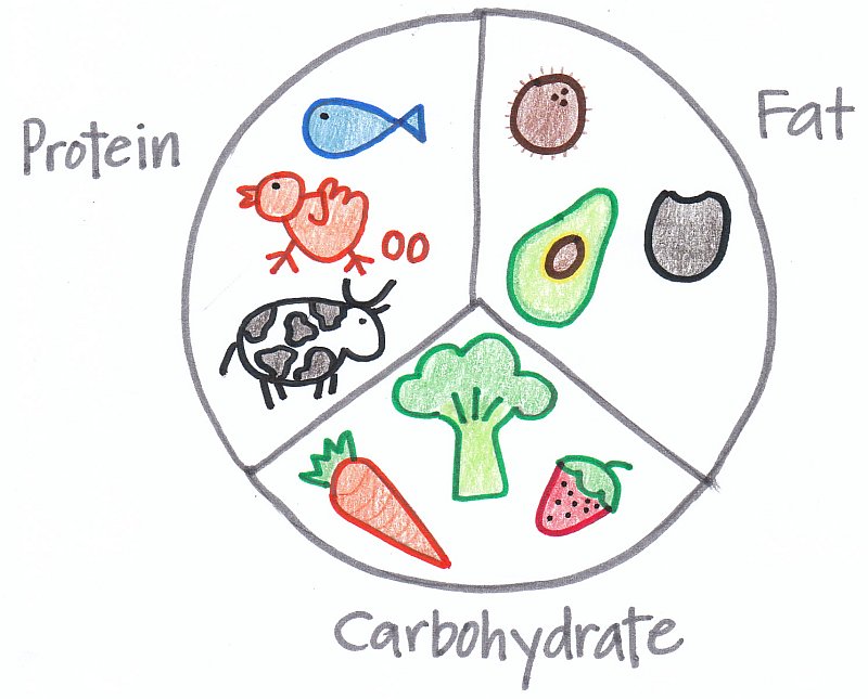 proteine-carboidrati-grassi