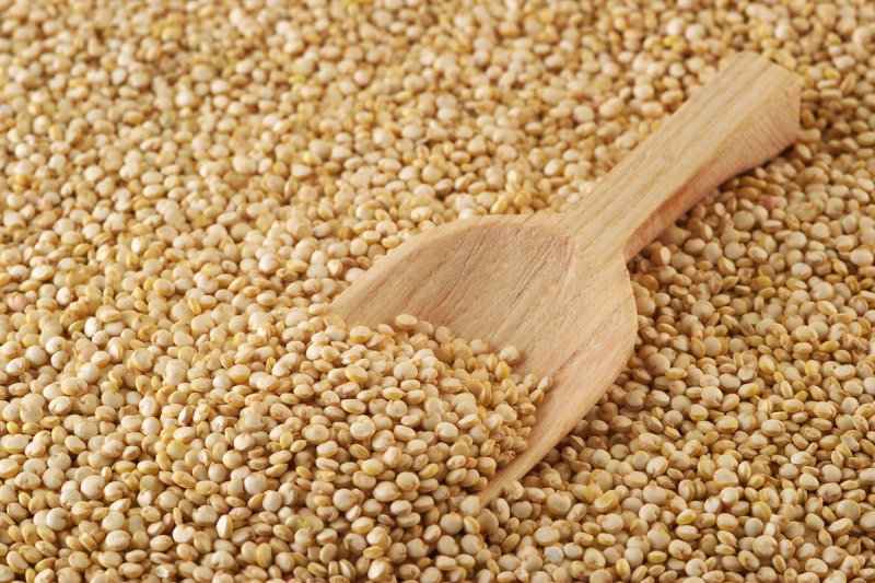 quinoa-proprieta