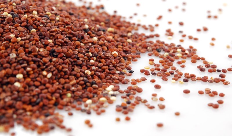 quinoa-rossa-proprieta-benefici